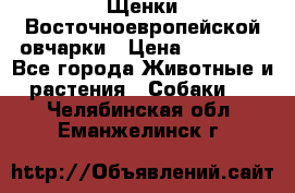 Щенки Восточноевропейской овчарки › Цена ­ 25 000 - Все города Животные и растения » Собаки   . Челябинская обл.,Еманжелинск г.